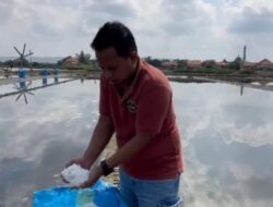 Kunjungi Petani Garam Binaan, PT Sumatraco Dukung Hasilkan Produk Garam Berkualitas Tinggi