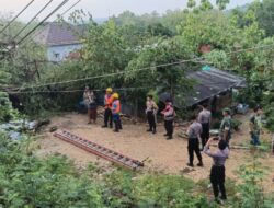 Akibat Angin Kencang Disertai Hujan, Rumah Warga di Sampang Tertimpa Pohon, Kerugian Capai Jutaan Rupiah